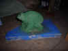 Frosch.jpg (29251 Byte)